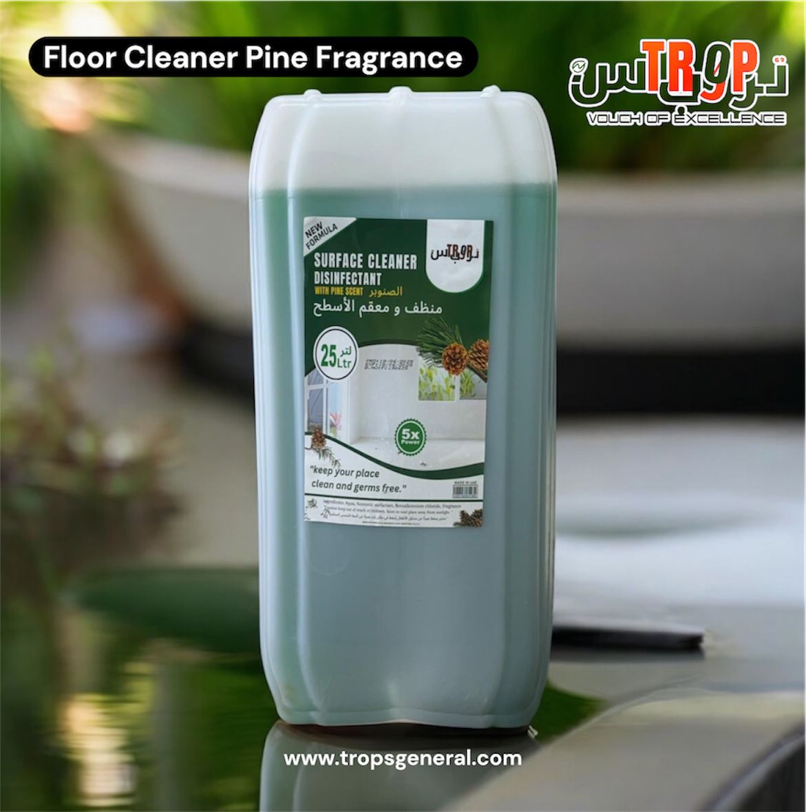 Floor Cleaner Pine 25L